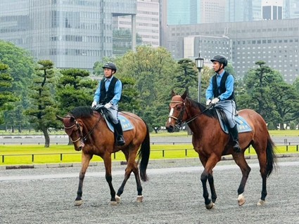 皇居前活動時の画像