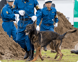 警察犬その2
