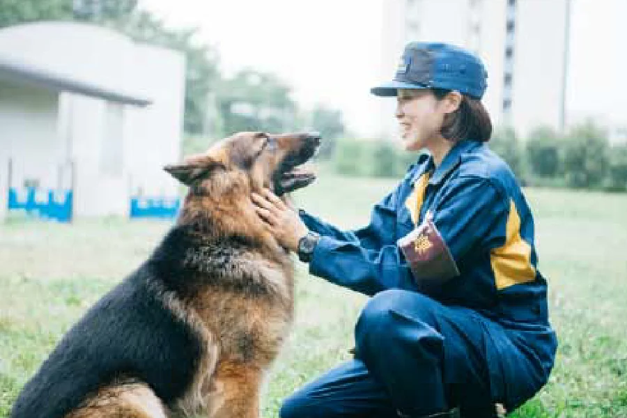 初めて警察犬を採用